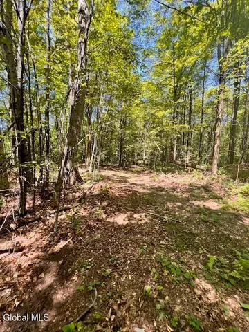 $50,000 | L7.41 Summit Lake Road, Argyle, NY 12809