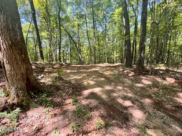 $50,000 | L7.41 Summit Lake Road, Argyle, NY 12809