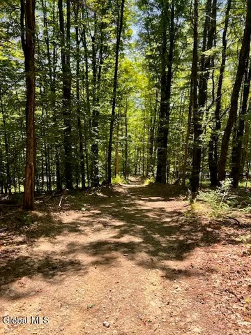 $50,000 | L7.41 Summit Lake Road, Argyle, NY 12809