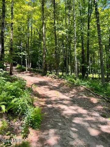 $50,000 | L7.41 Summit Lake Road, Argyle, NY 12809