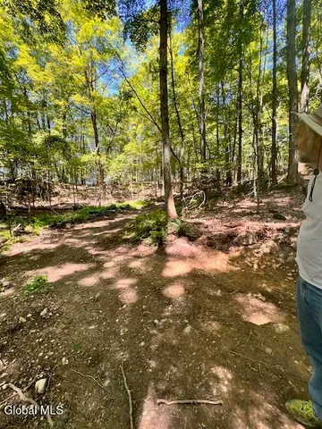 $50,000 | L7.41 Summit Lake Road, Argyle, NY 12809