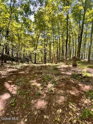 $50,000 | L7.41 Summit Lake Road, Argyle, NY 12809