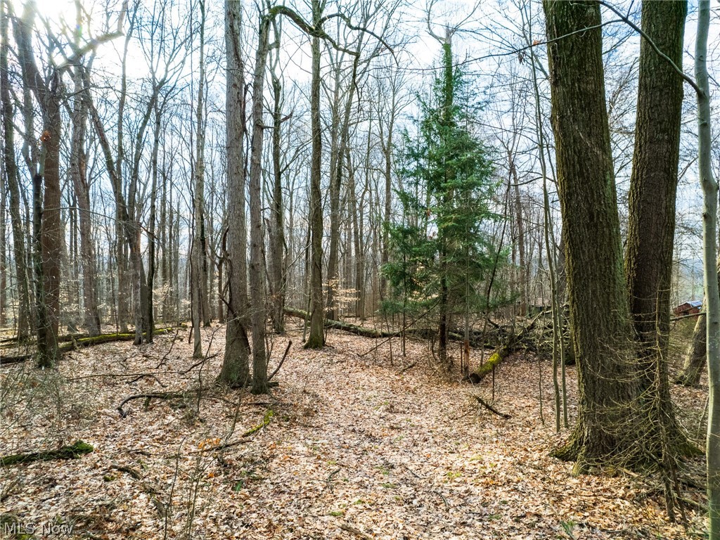 Race Road Strasburg, OH 44680 - Photo 4 of 16 Gallery Image 4