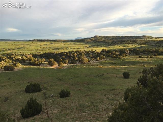 Cedarwood Road Rye, CO 81069 - Photo 13 of 13