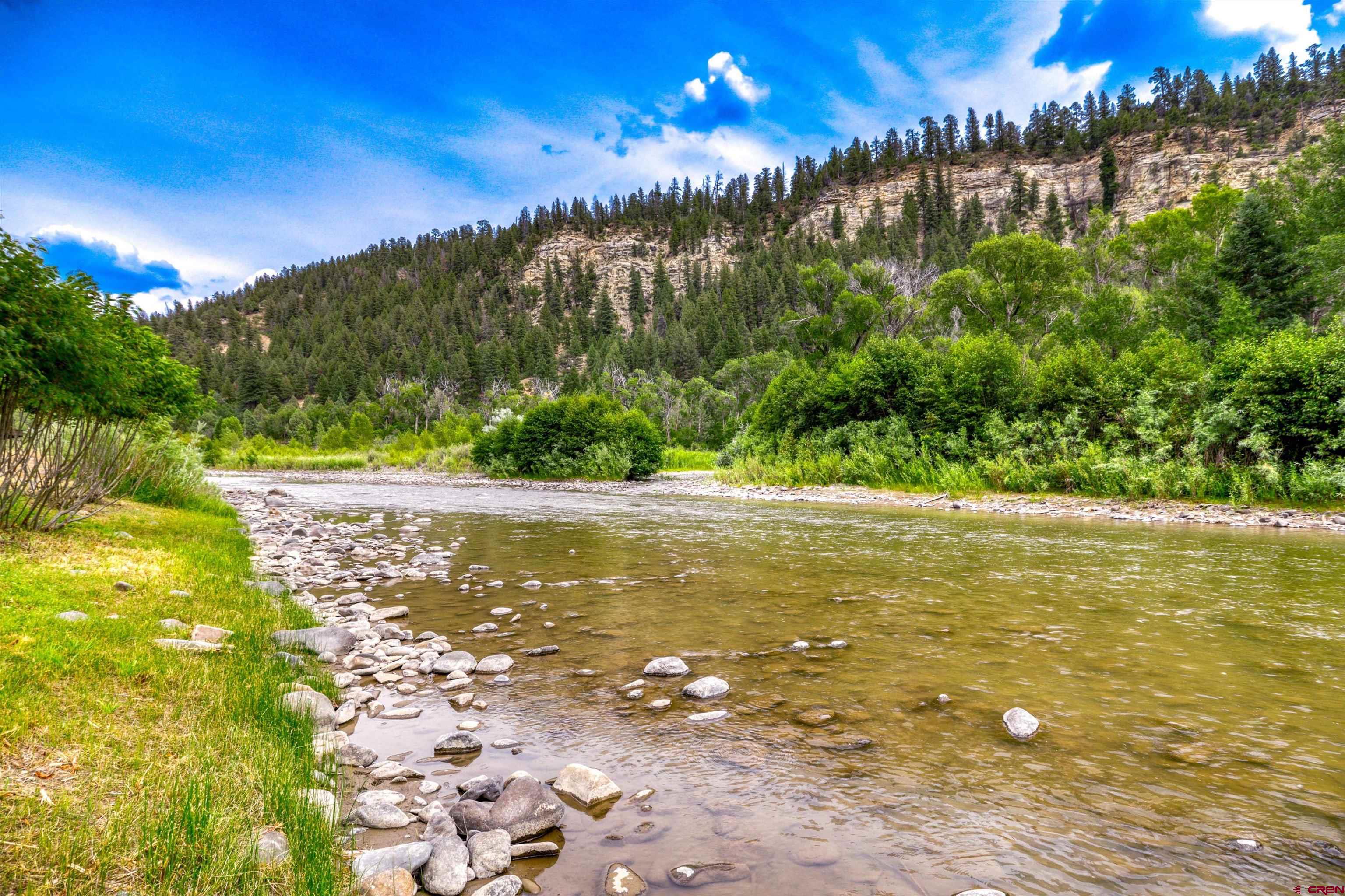 684 Estates Circle Road Pagosa Springs, CO 81147 - Photo 2 of 45