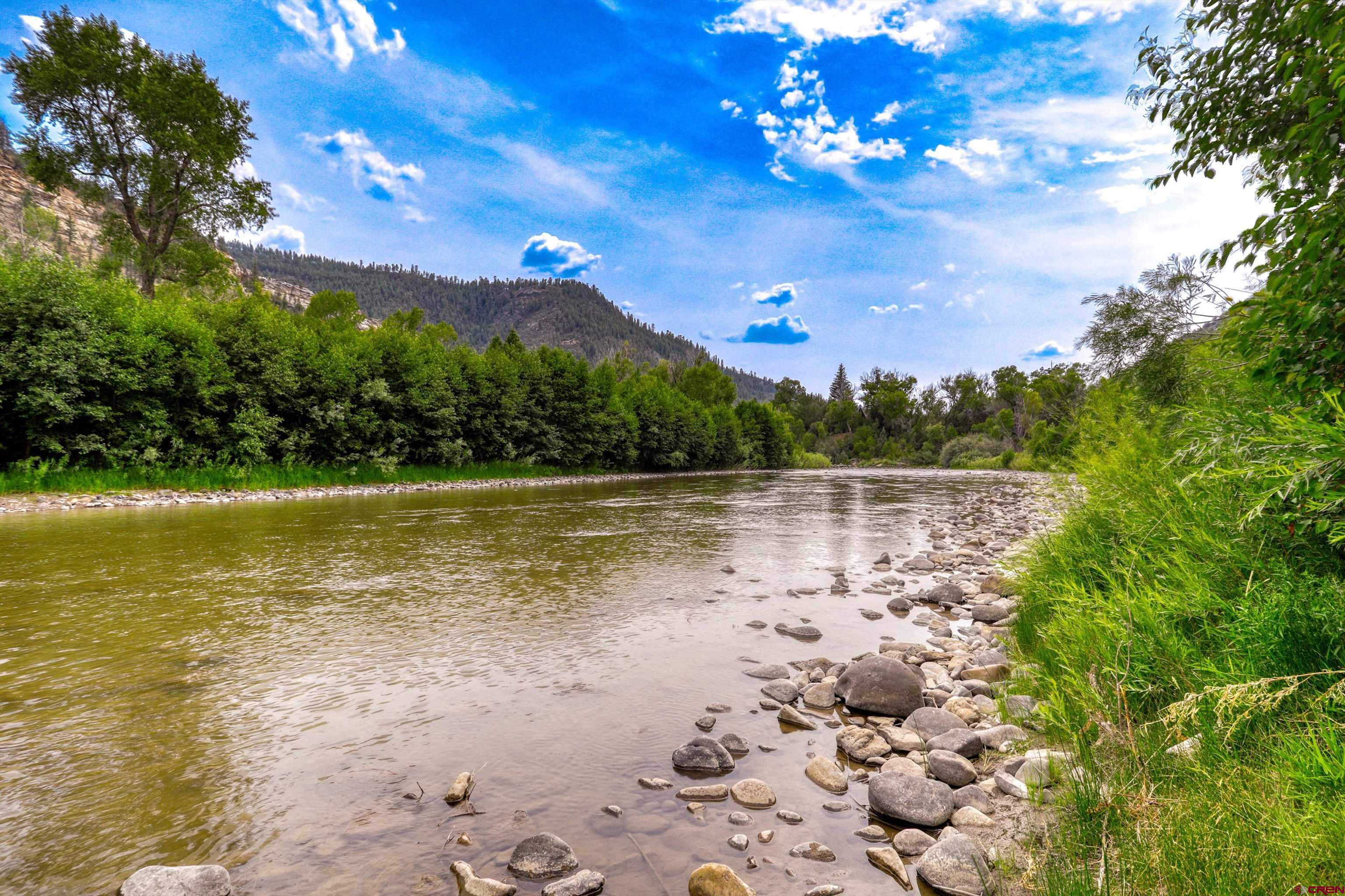 684 Estates Circle Road Pagosa Springs, CO 81147 - Photo 3 of 45