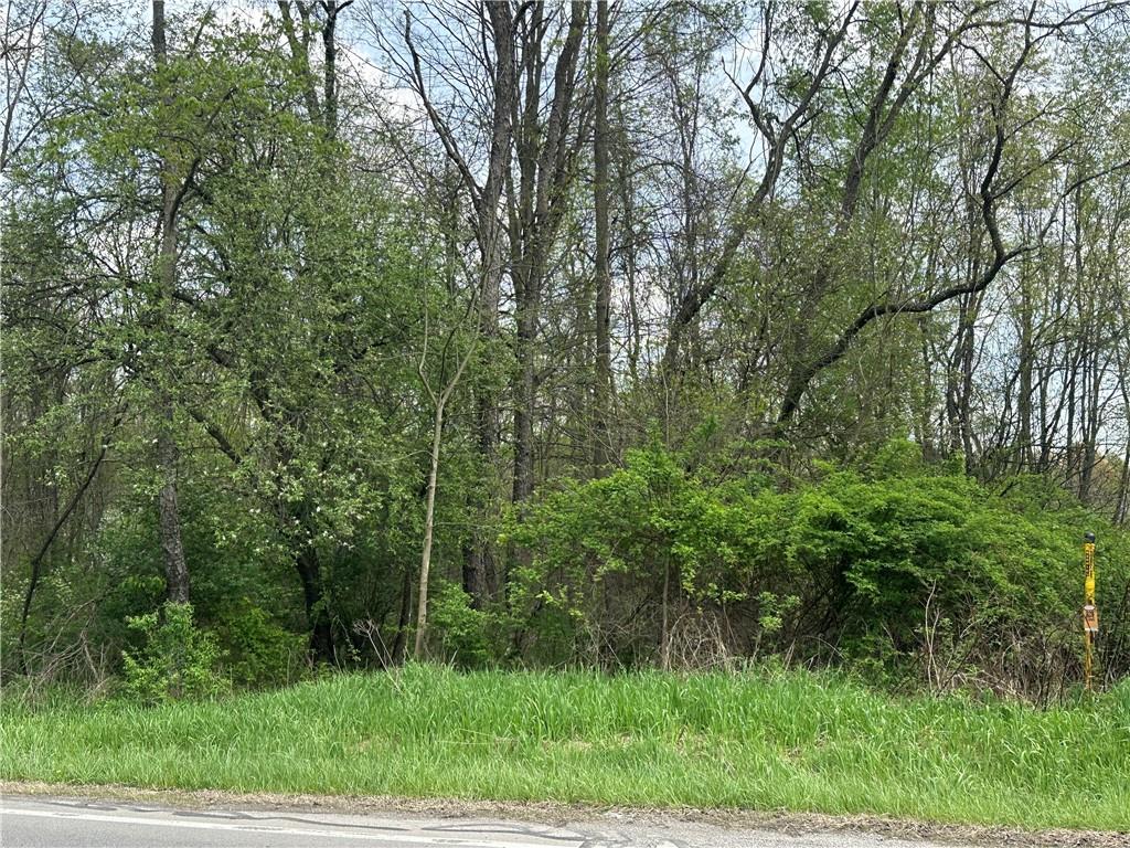 0 Mercer Avenue Hermitage, PA 16148 - Photo 1 of 8 a view of a lush green forest