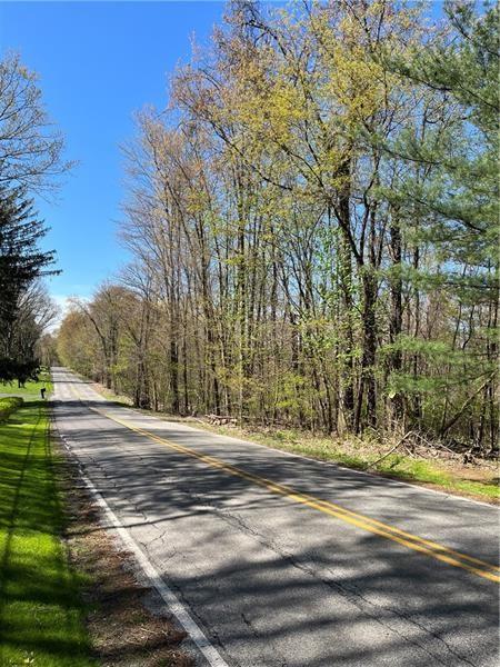 0 Mercer Avenue Hermitage, PA 16148 - Photo 5 of 5 a view of a house with a yard