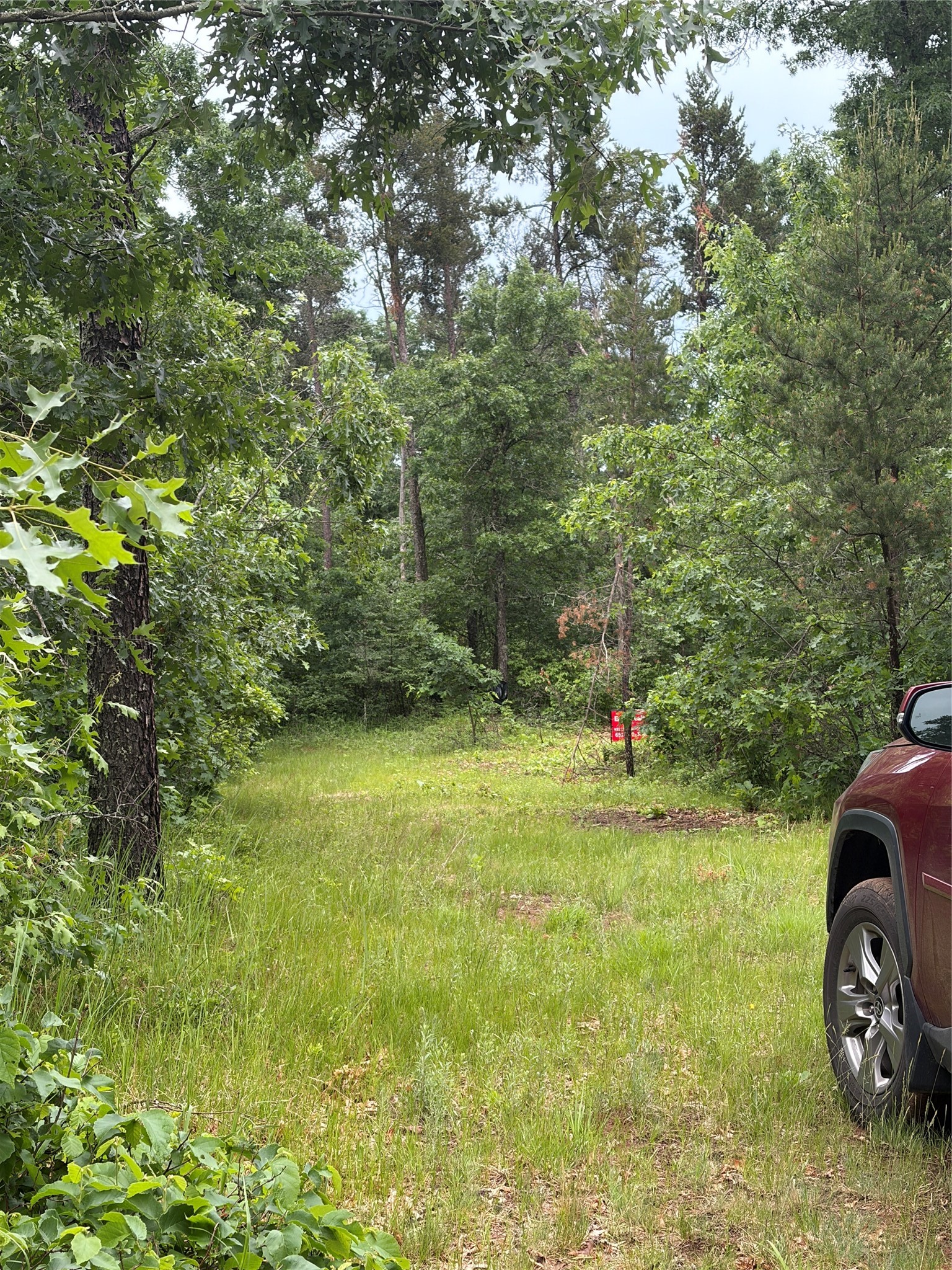 Lot 2 Sleepy Eye Road Minong, WI 54859 - Photo 3 of 10