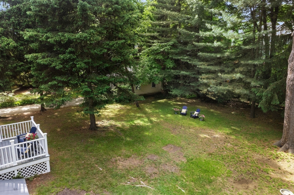 81 Avalon Road Newton, MA 02468 - Photo 32 of 38 a backyard of a house with lots of green space