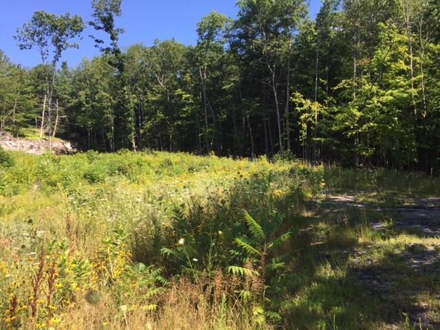 Lot 0 West Gray Road Gray, ME 04039 - Photo 13 of 13 Photo