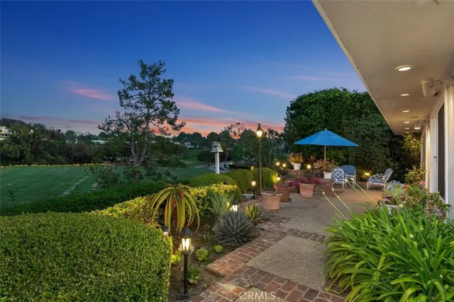 a view of a patio with table and chairs potted plants and palm tree
