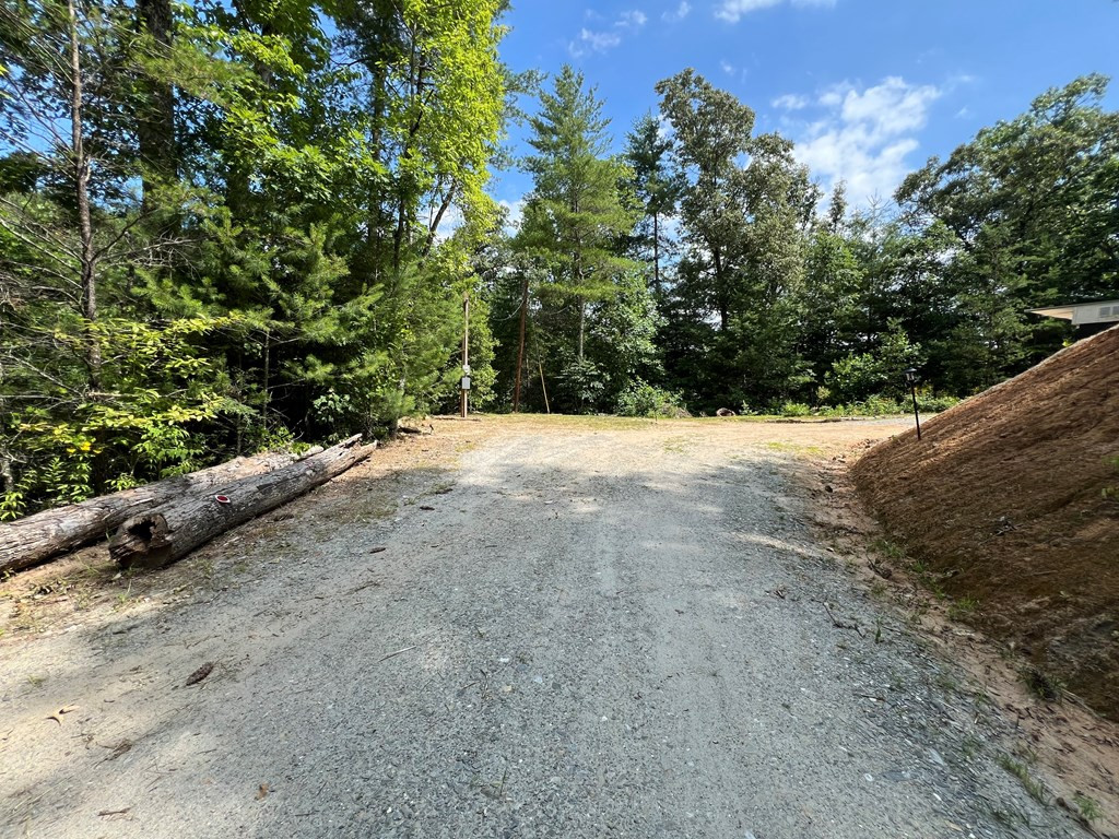 294 Pioneer Ests Road Murphy, NC 28906 - Photo 3 of 36 Driveway