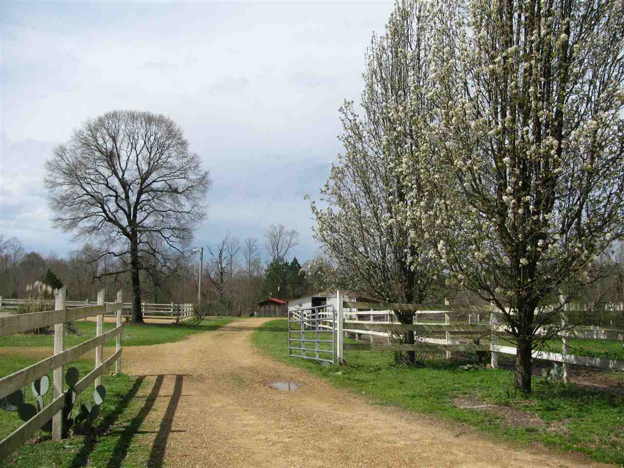 985 Foster Road Adamsville, TN 38310 - Photo 17 of 25 Gallery Image 17
