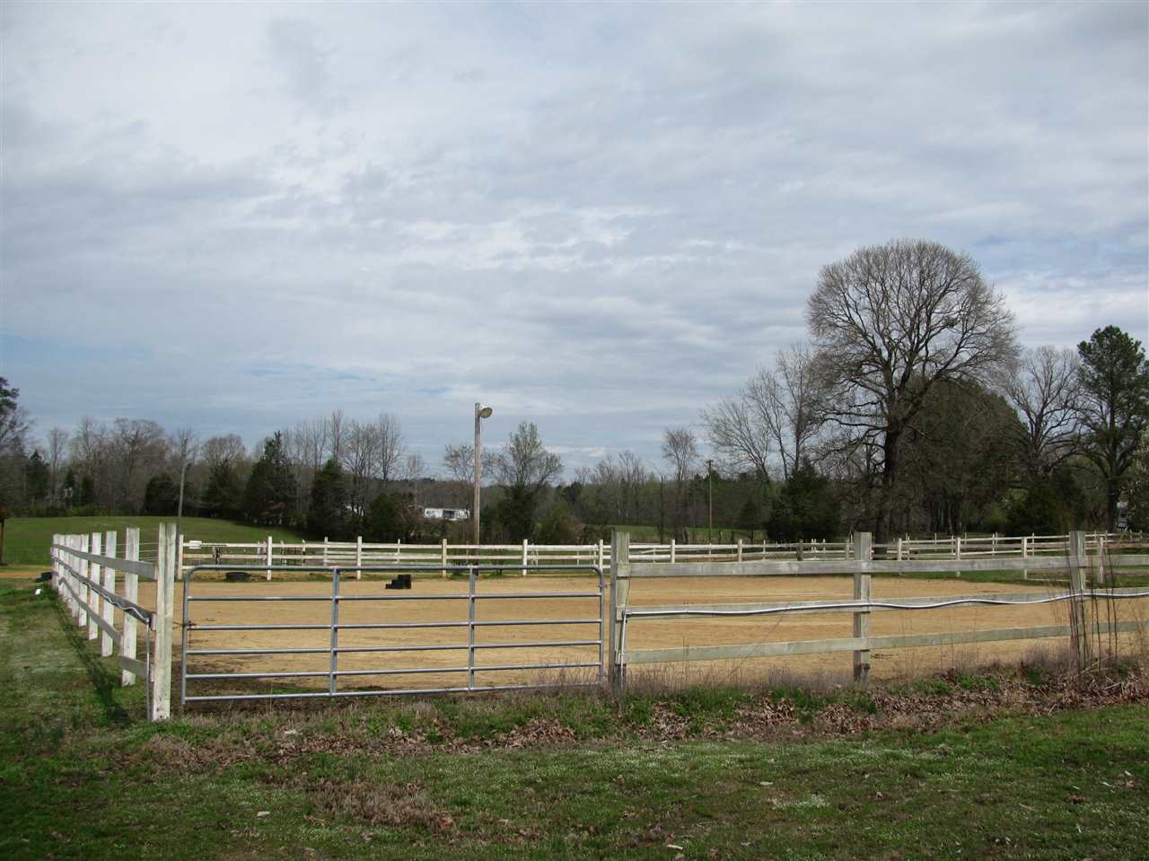 985 Foster Road Adamsville, TN 38310 - Photo 3 of 25 Gallery Image 3
