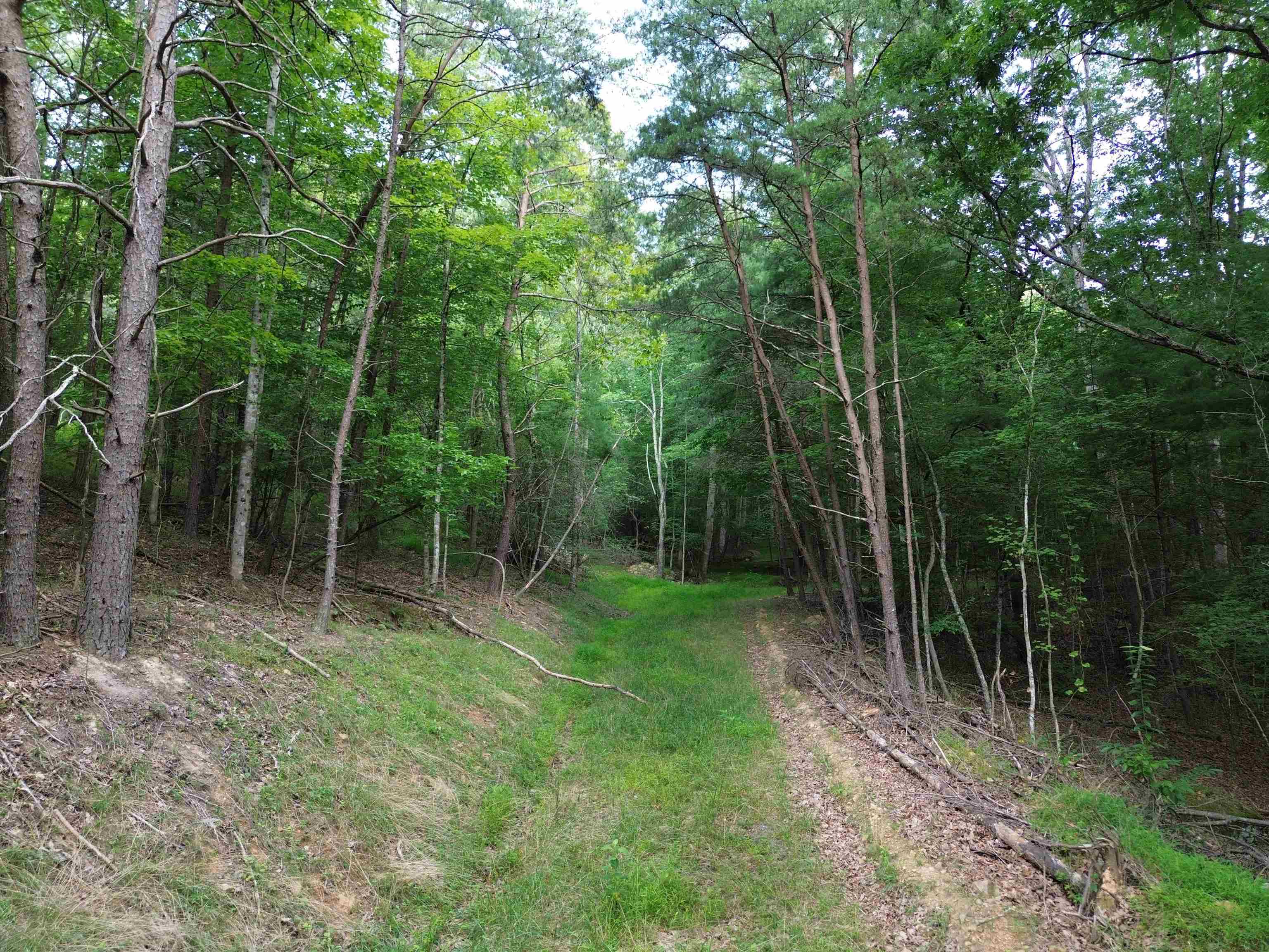 Tbd Norris Run Road Blacksburg, VA 24060 - Photo 6 of 8 Gallery Image 6