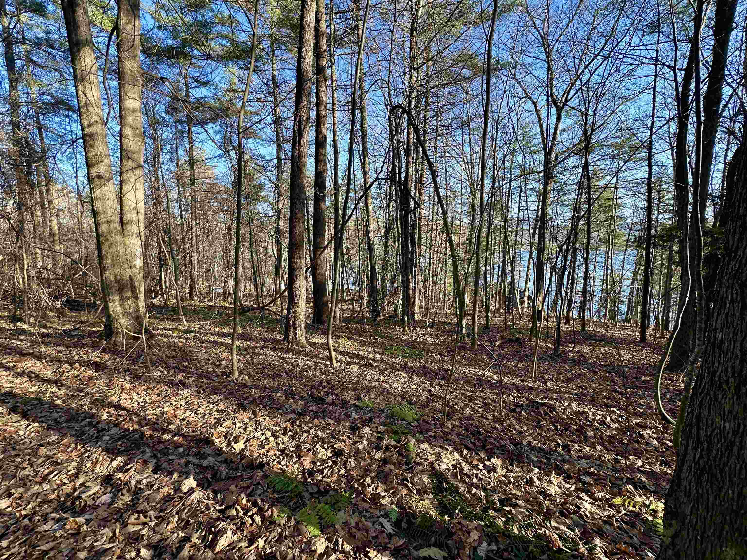 0 West Lake Road, Unit LOT THREE Wells, VT 05774 - Photo 4 of 9 Gallery Image 4