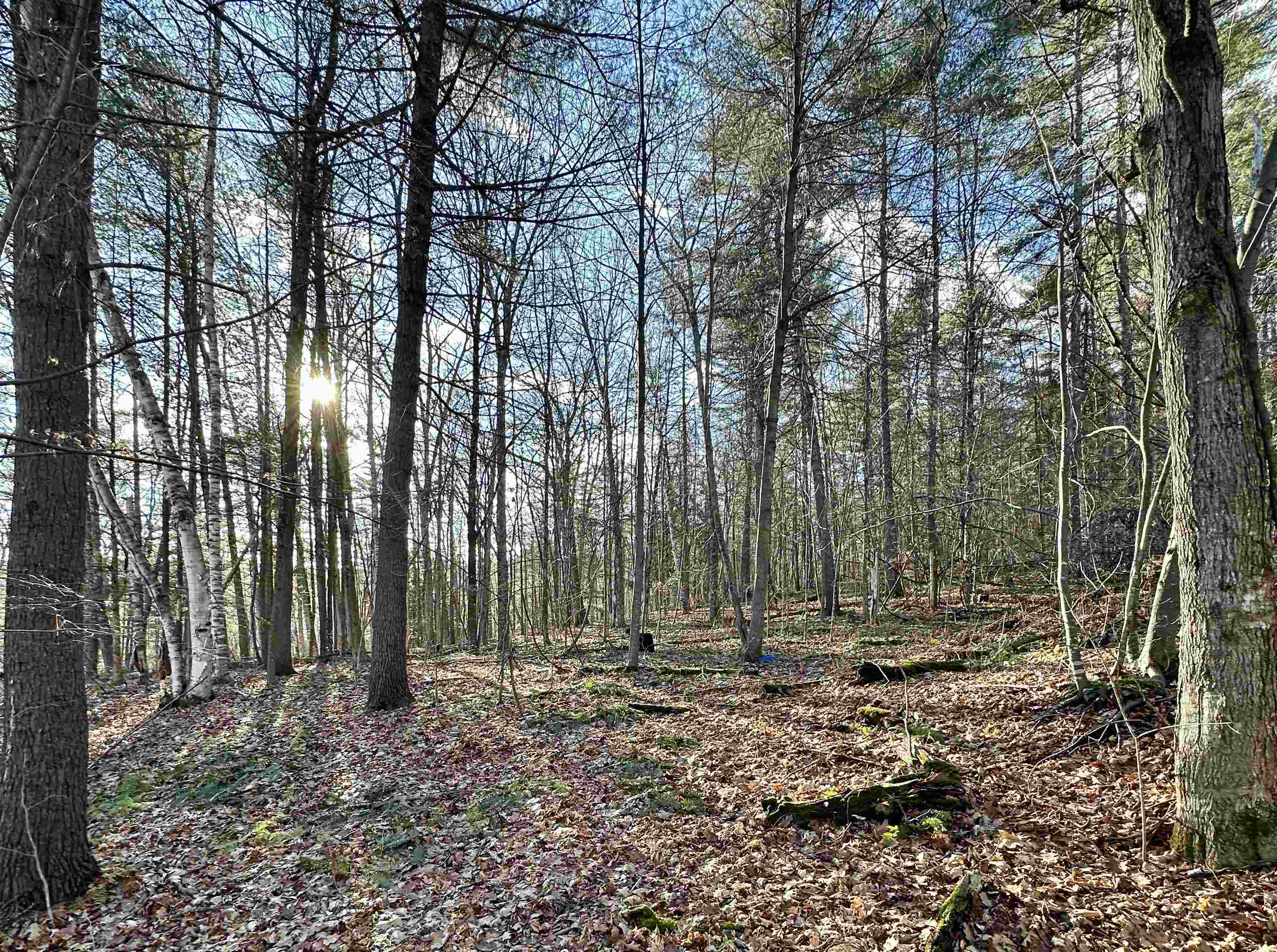 0 West Lake Road, Unit LOT THREE Wells, VT 05774 - Photo 5 of 9 Gallery Image 5