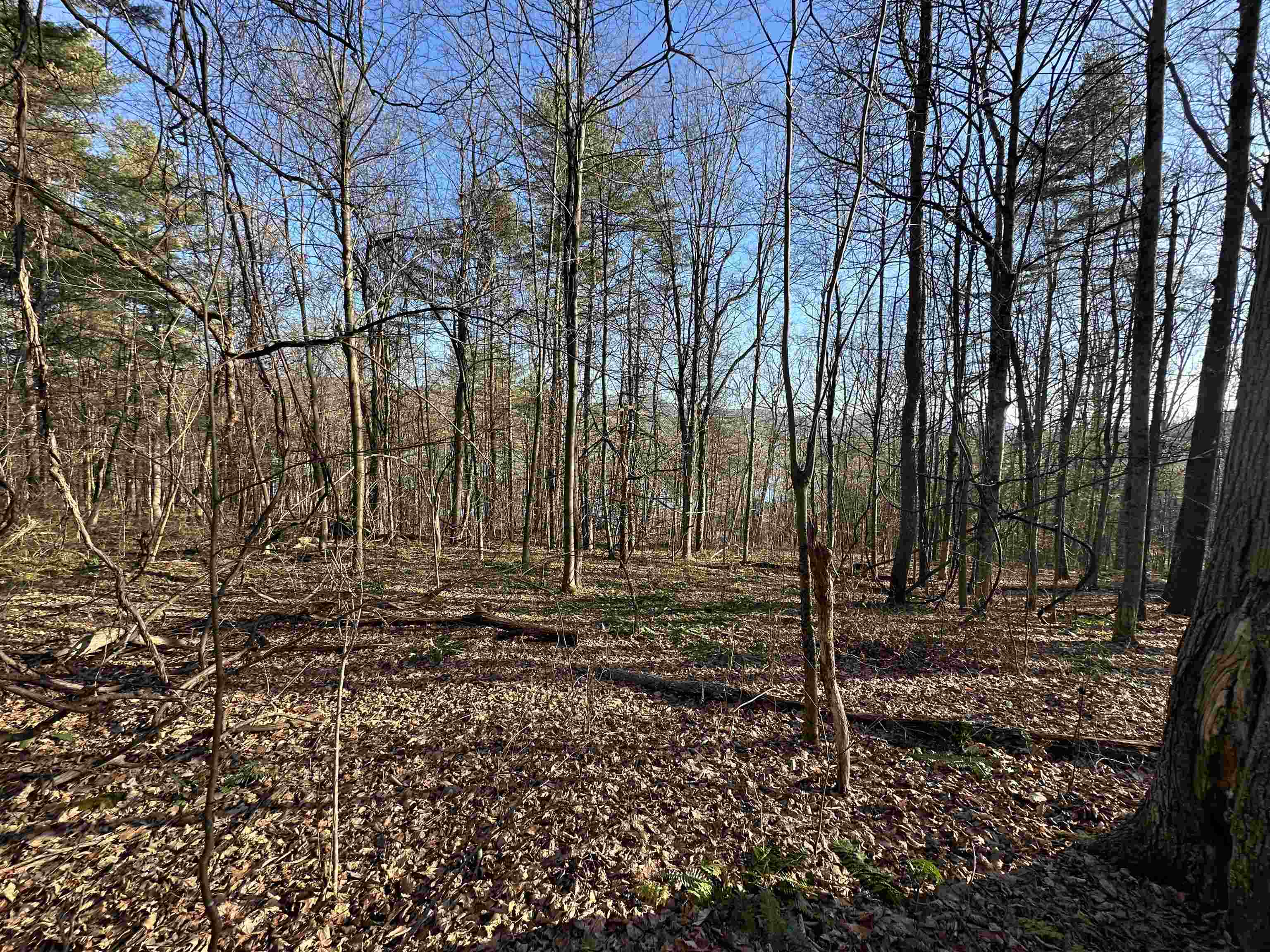 0 West Lake Road, Unit LOT THREE Wells, VT 05774 - Photo 8 of 9 Gallery Image 8