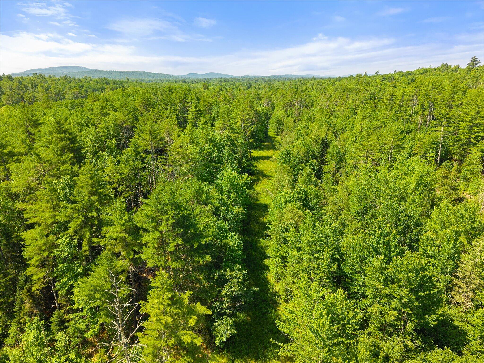 532 Lebanon Road Winterport, ME 04496 - Photo 7 of 17 07-68 Acres- Lebanon Rd