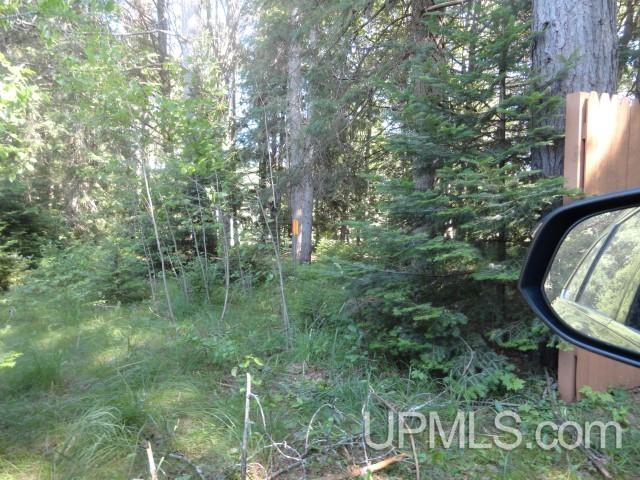 11463 West Co Road Manistique, MI 49854 - Photo 2 of 35
