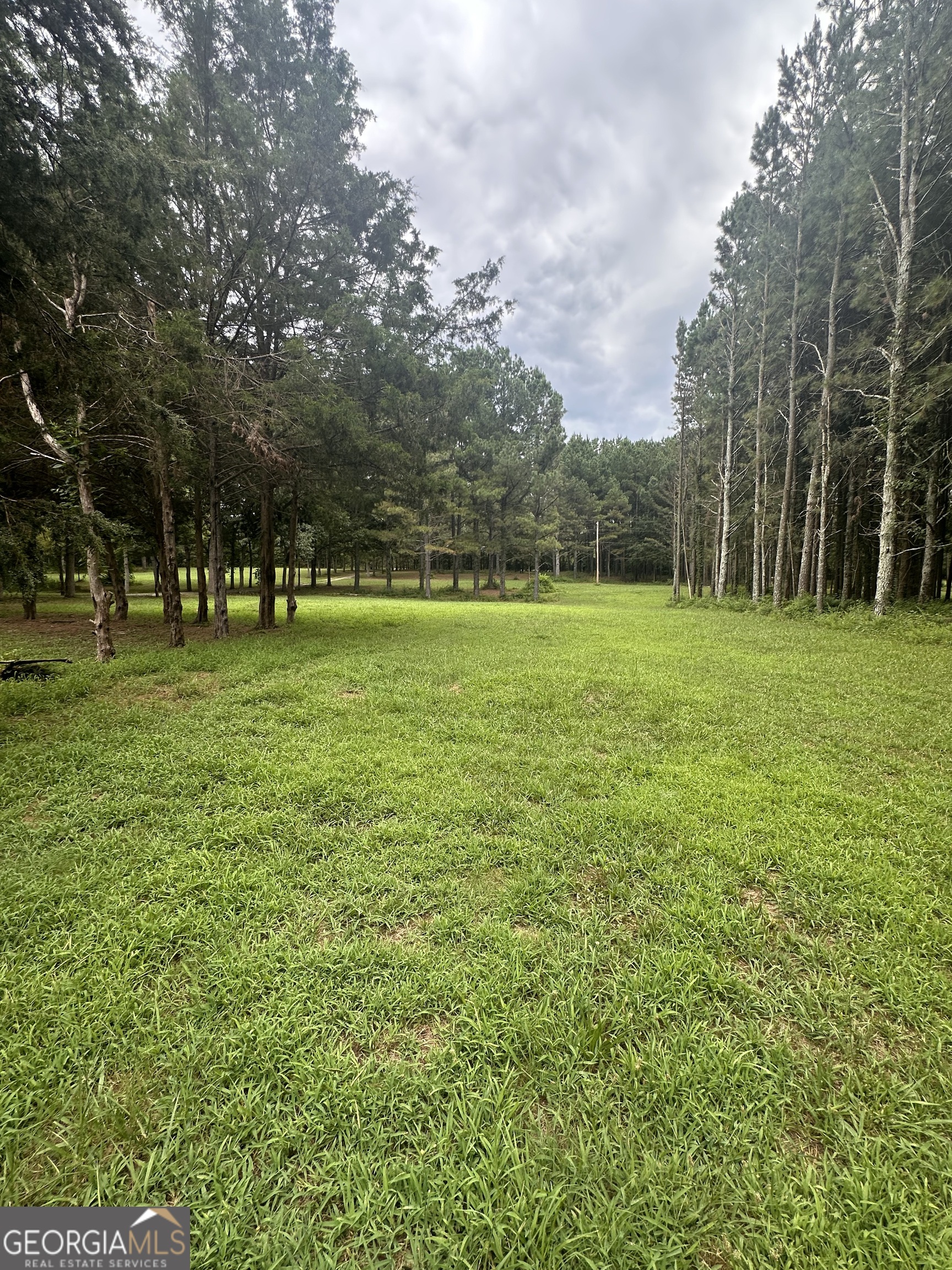 2023 Stephens Road Elberton, GA 30635 - Photo 7 of 21 a view of a grassy field with trees