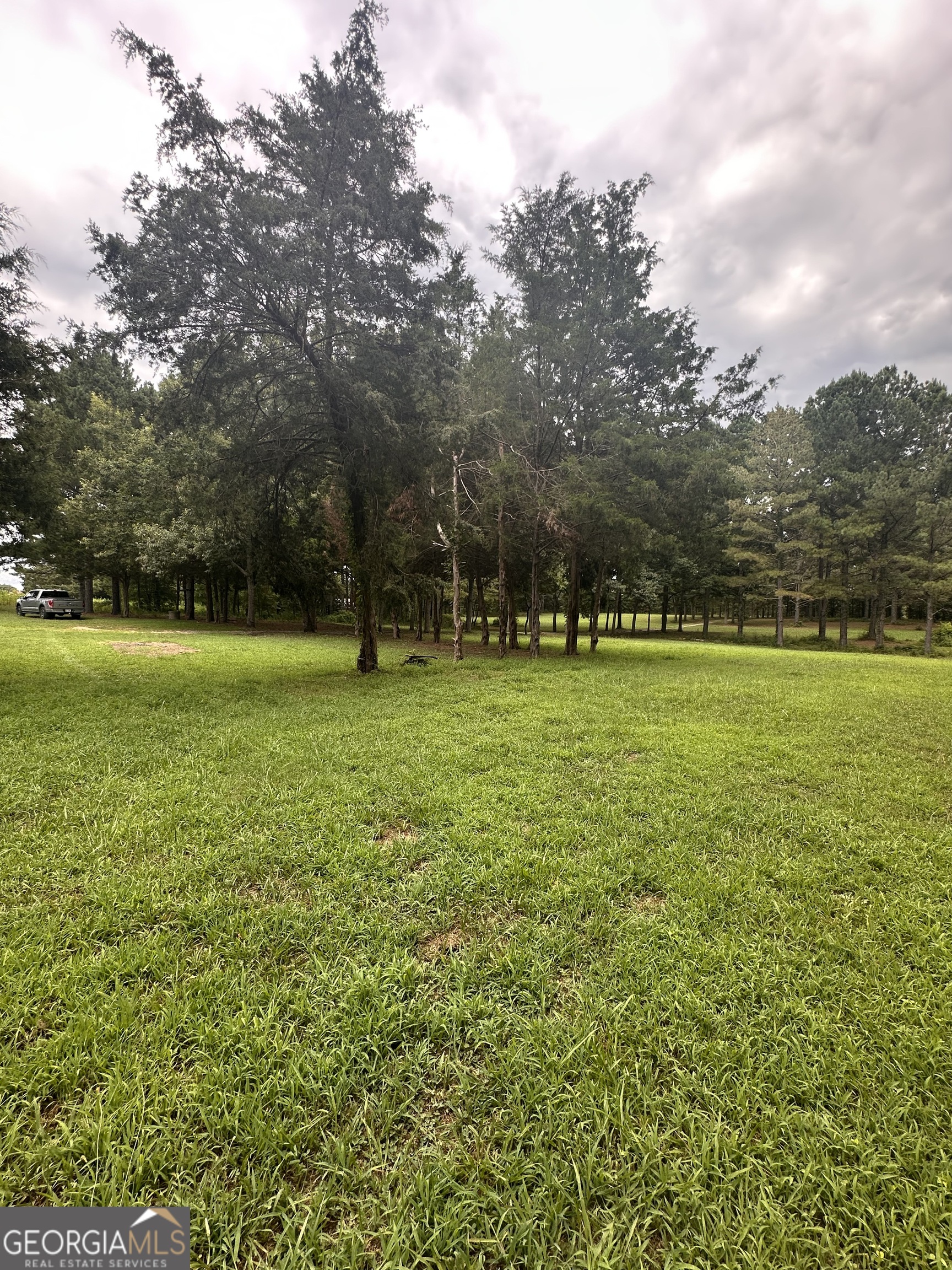 2023 Stephens Road Elberton, GA 30635 - Photo 8 of 21 a view of a large trees with a big yard
