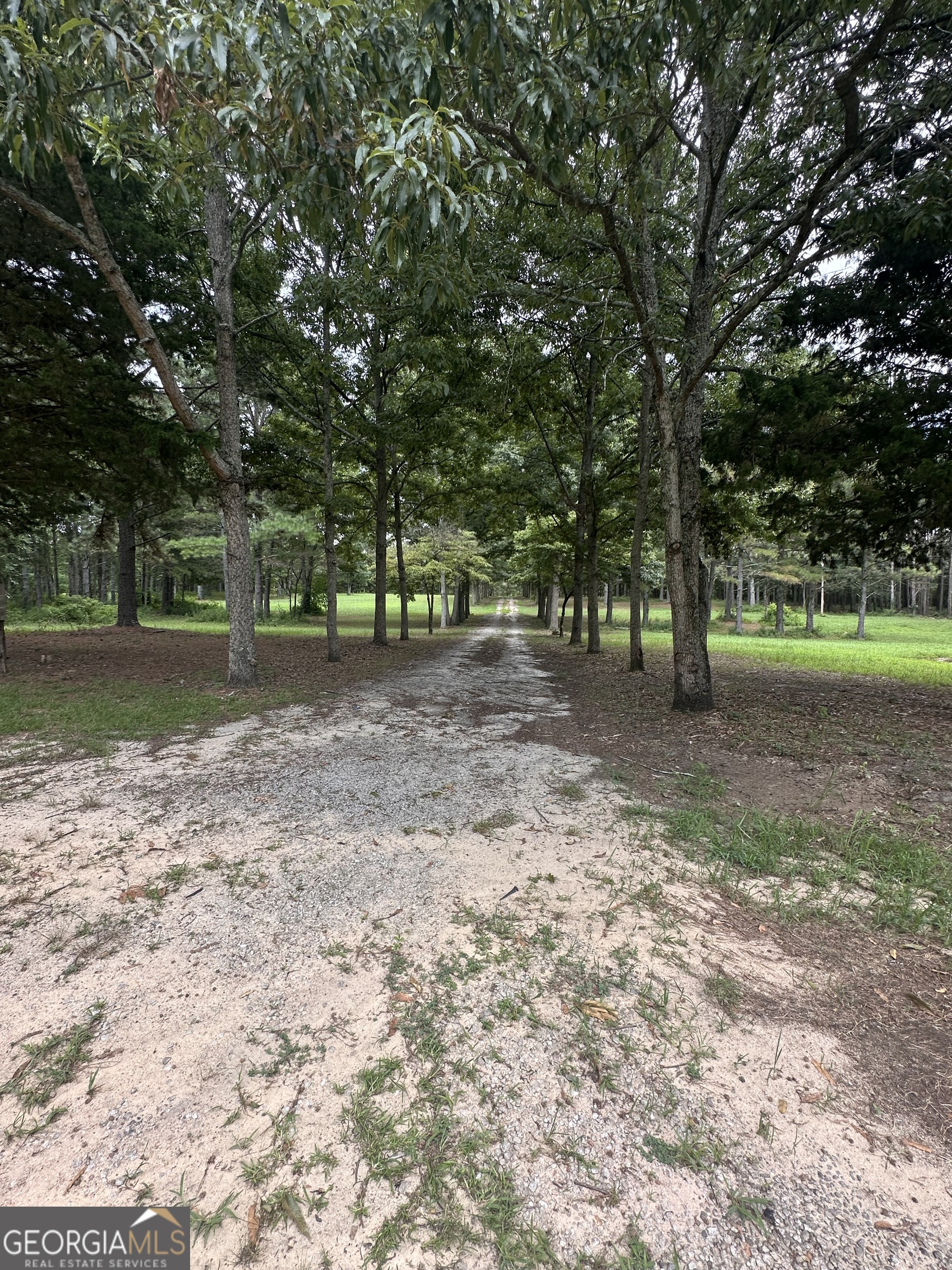 2023 Stephens Road Elberton, GA 30635 - Photo 10 of 21 a view of a yard with tree s