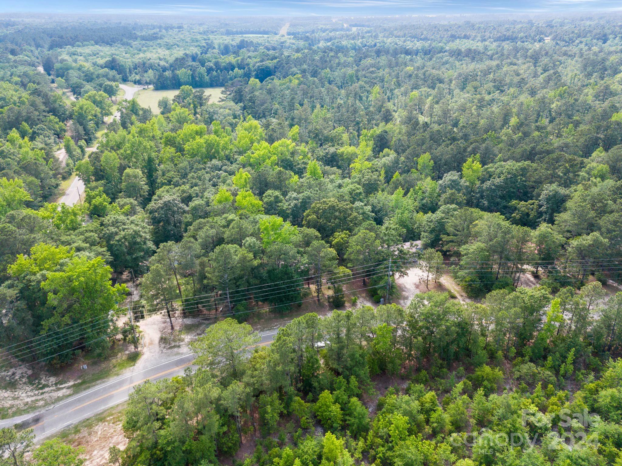 4540 Pittman Grove Church Road Raeford, NC 28376 - Photo 8 of 16 Gallery Image 8