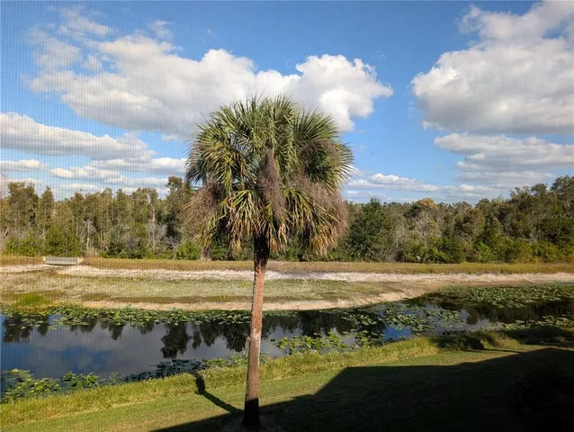 a view of a water with an ocean beach