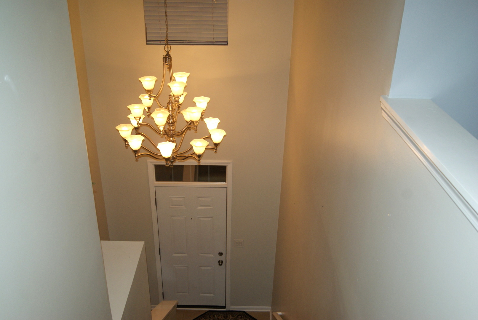 4425 Timber Ridge Court, Unit 4425 Joliet, IL 60431 - Photo 18 of 25 a vase of flowers sitting on a shelf