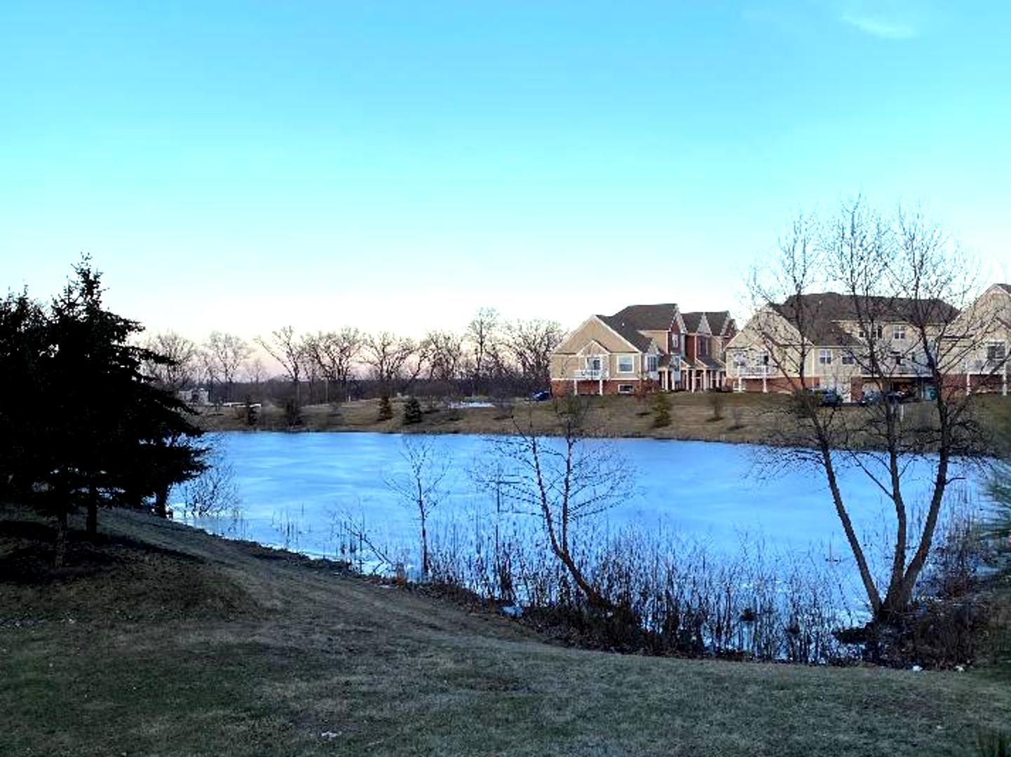 4425 Timber Ridge Court, Unit 4425 Joliet, IL 60431 - Photo 21 of 25 a view of a backyard