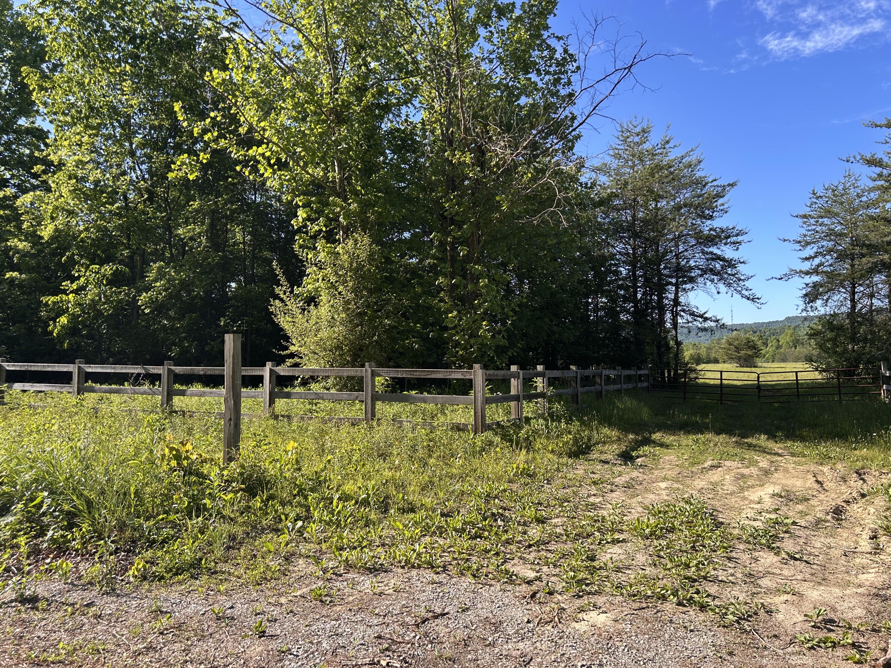 1635 Sandy Flats Road Williamsburg, KY 40769 - Photo 25 of 27 IMG_1450