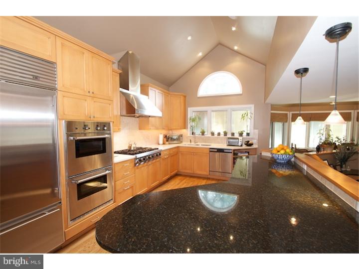 108 Cornell Road Bala Cynwyd, PA 19004 - Photo 12 of 24 Kitchen