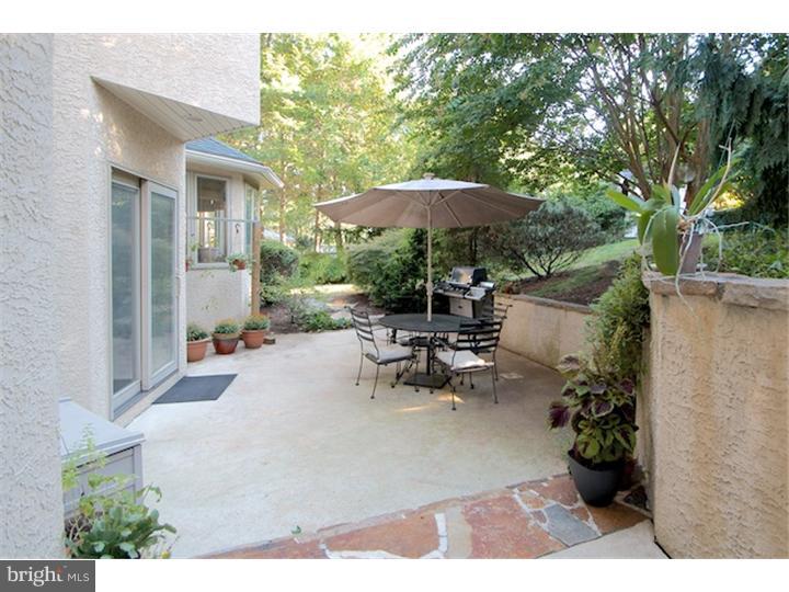 108 Cornell Road Bala Cynwyd, PA 19004 - Photo 7 of 24 Patio