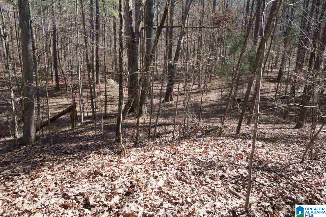 Mystic Valley View, Unit 1 Sterrett, AL 35147 - Photo 17 of 33