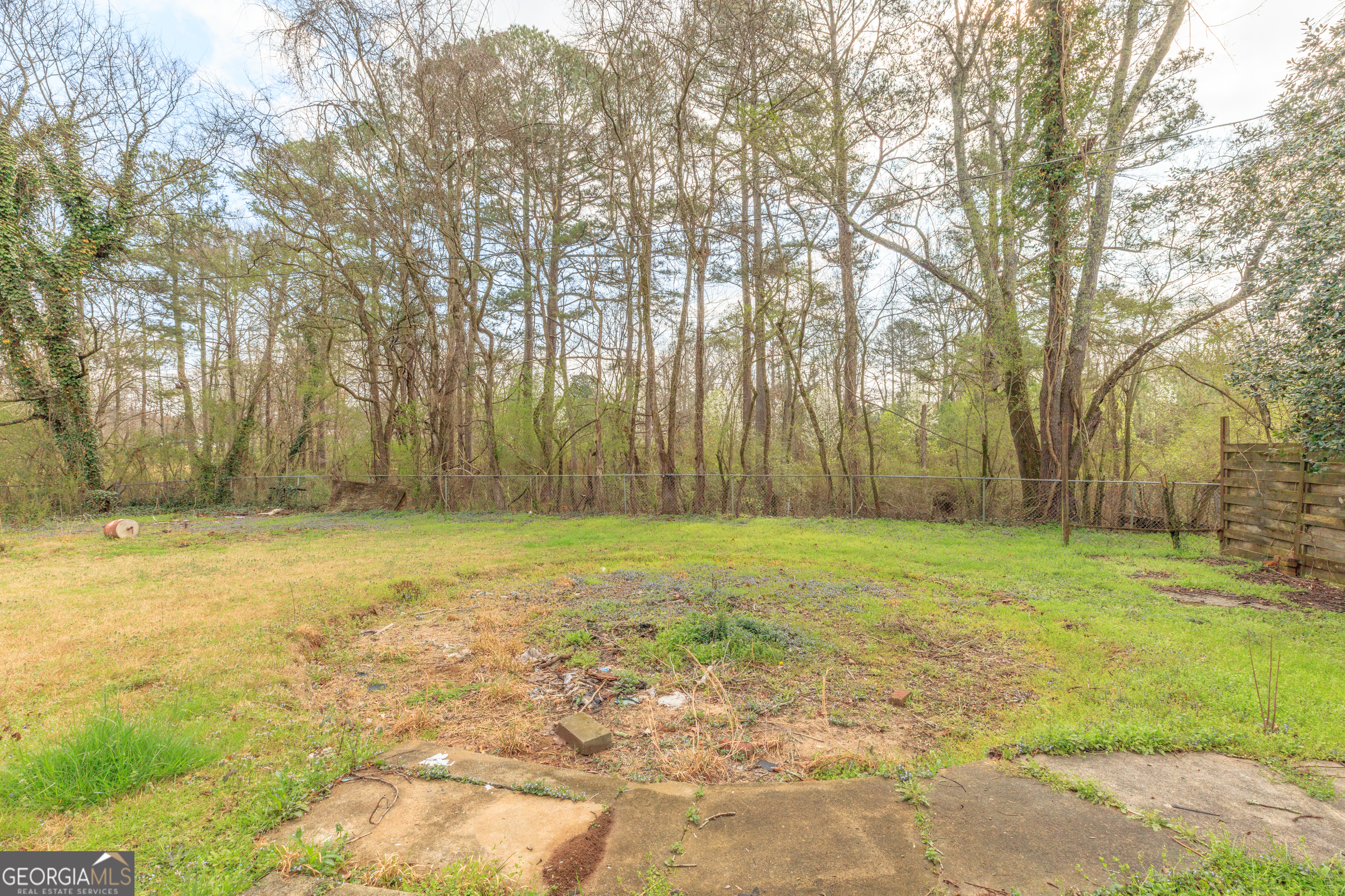 395 Wisteria Road LaFayette, GA 30728 - Photo 25 of 31 a view of a yard with trees