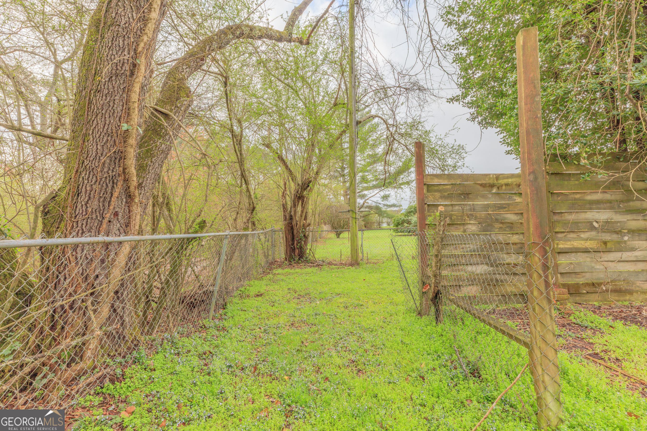 395 Wisteria Road LaFayette, GA 30728 - Photo 29 of 31 a view of yard