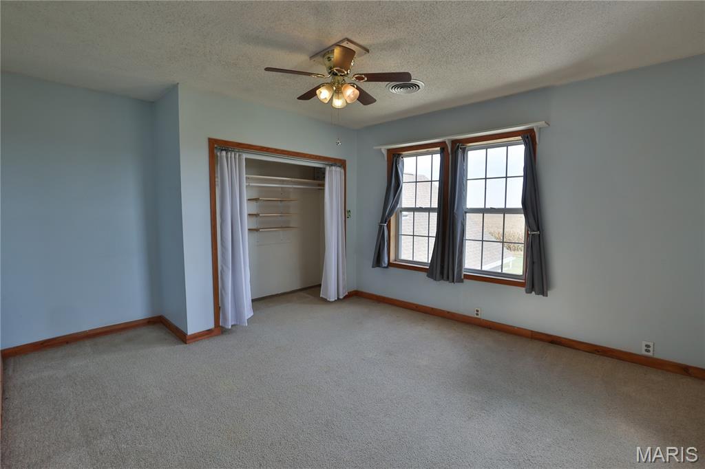 10233 North 17th Avenue Butler, IL 62015 - Photo 39 of 73