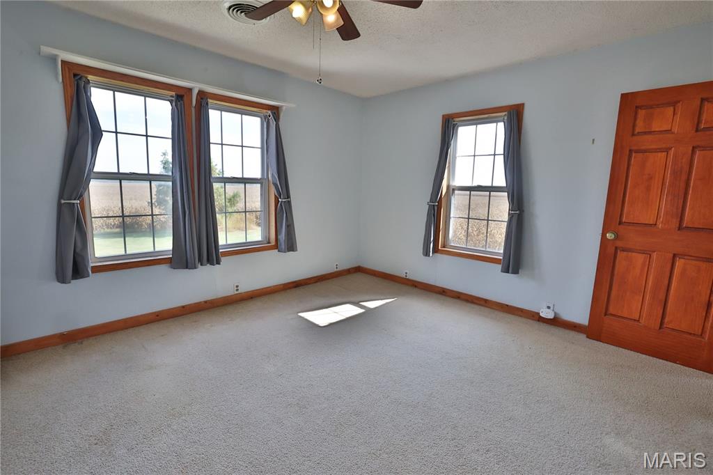 10233 North 17th Avenue Butler, IL 62015 - Photo 40 of 73