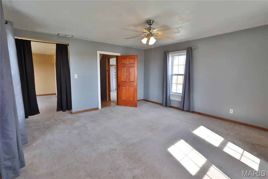 10233 North 17th Avenue Butler, IL 62015 - Photo 42 of 73