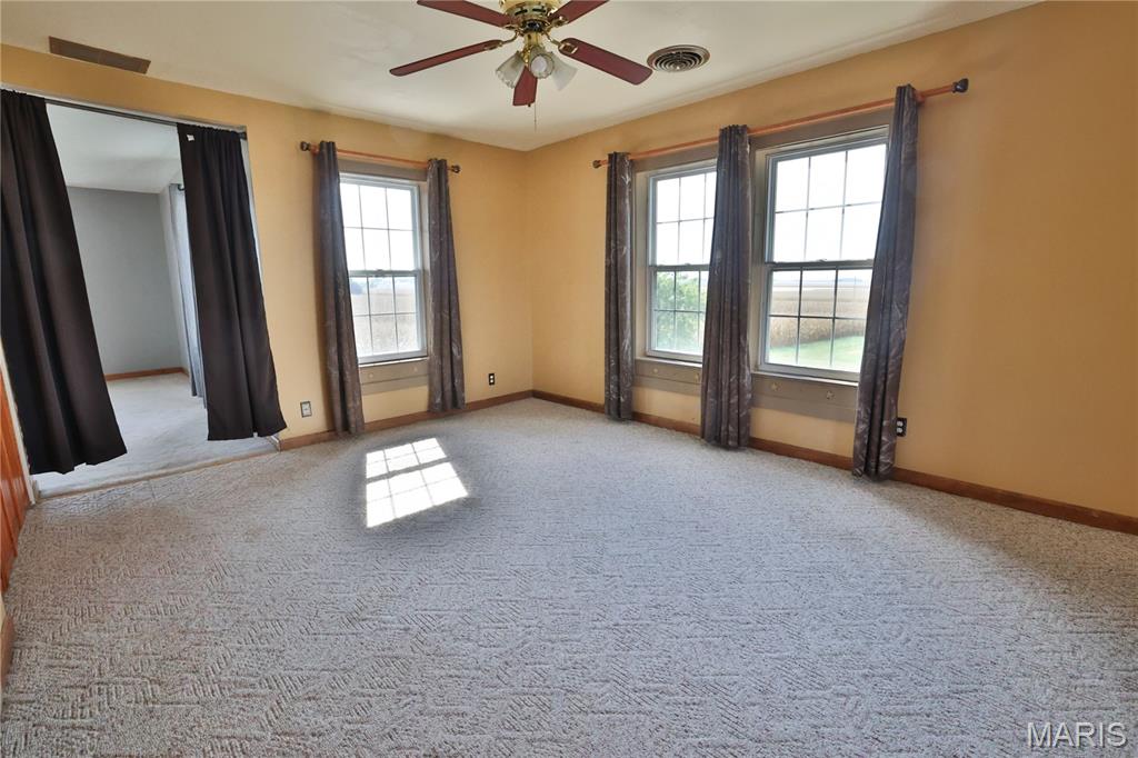 10233 North 17th Avenue Butler, IL 62015 - Photo 44 of 73