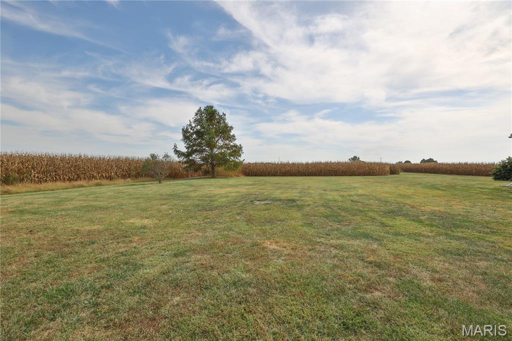 10233 North 17th Avenue Butler, IL 62015 - Photo 59 of 73