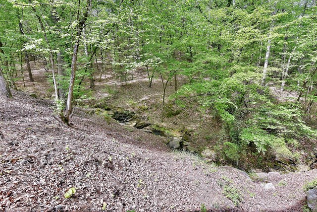 643 Double Churches Road Columbus, GA 31904 - Photo 41 of 41 5.55 Acres of gorgeous wooded property