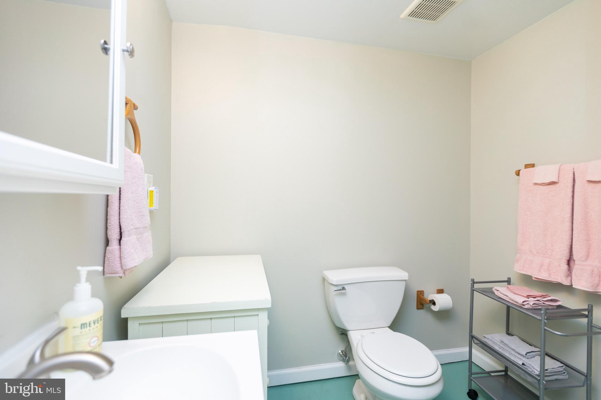 5307 Emory Road Upperco, MD 21155 - Photo 24 of 32 LL Full Bath
