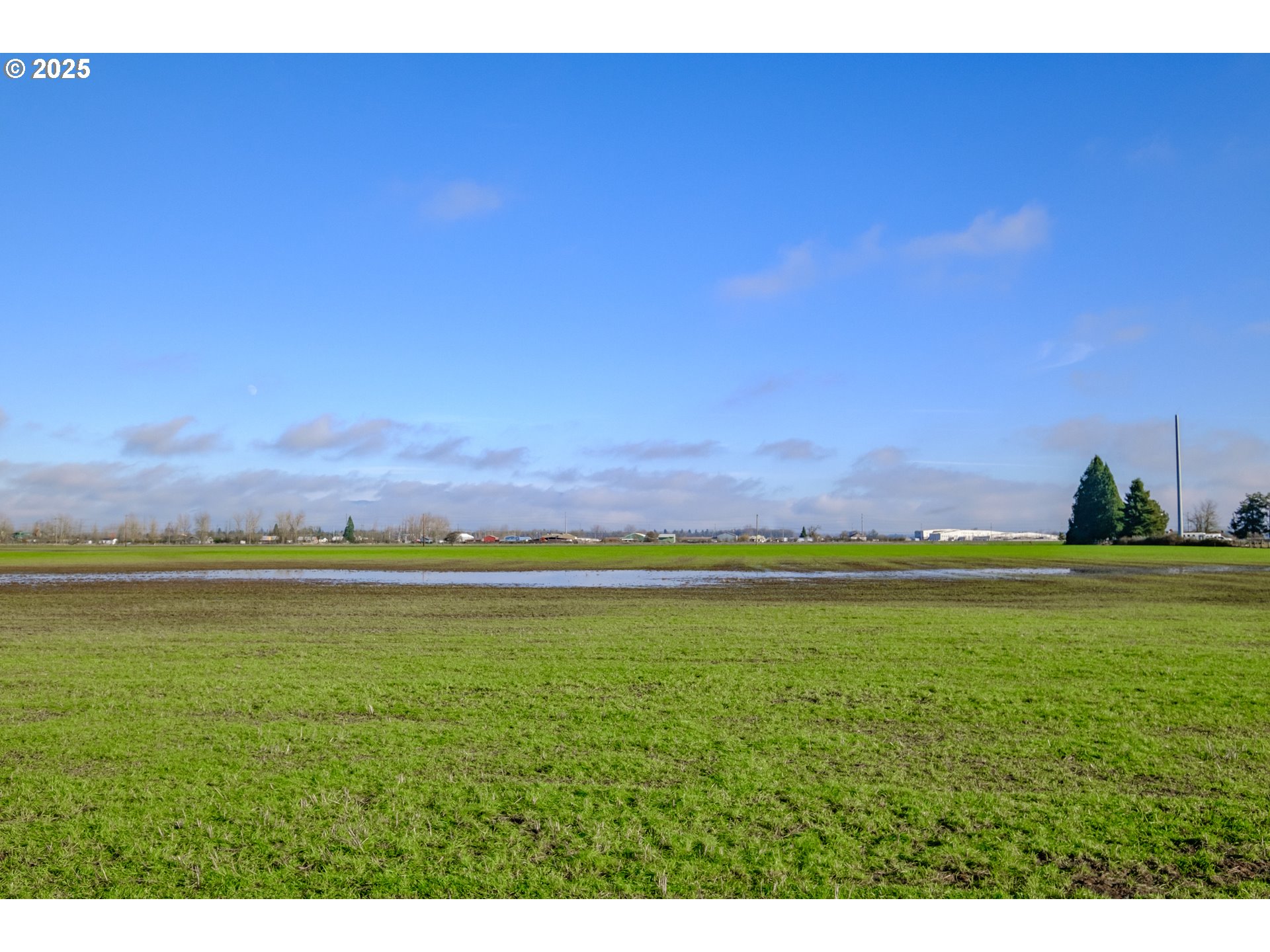 0 Milliron Road Junction City, OR 97448 - Photo 28 of 39 Gallery Image 28