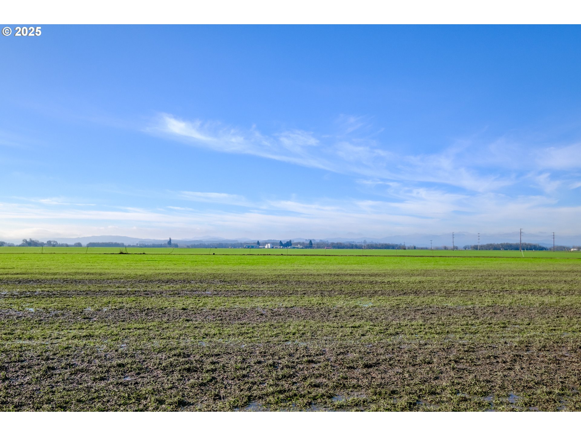 0 Milliron Road Junction City, OR 97448 - Photo 31 of 39 Gallery Image 31