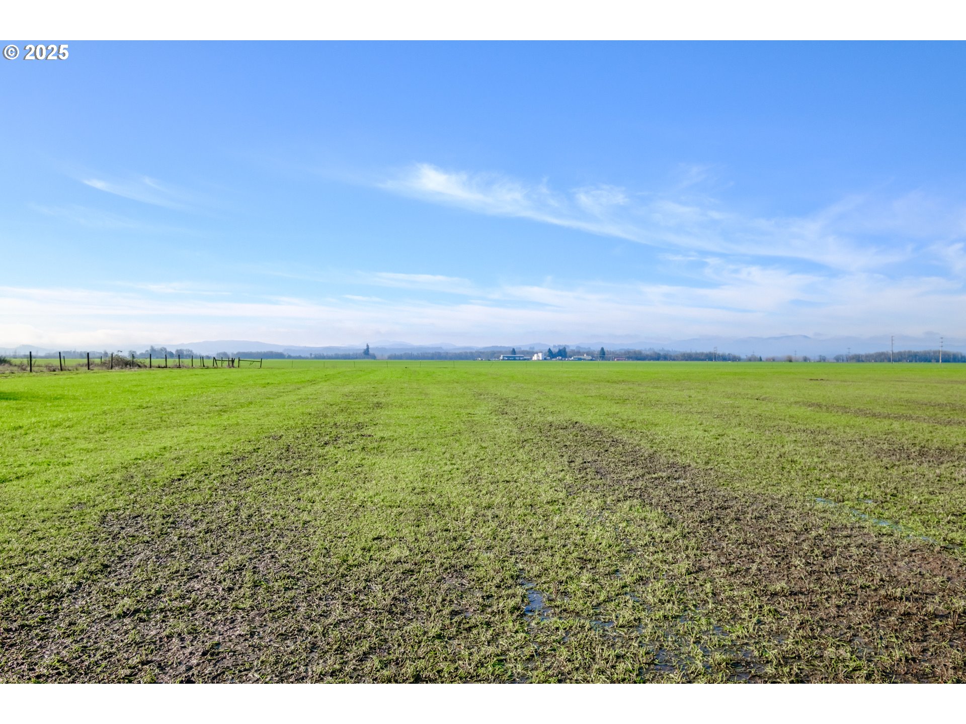 0 Milliron Road Junction City, OR 97448 - Photo 4 of 39 Gallery Image 4