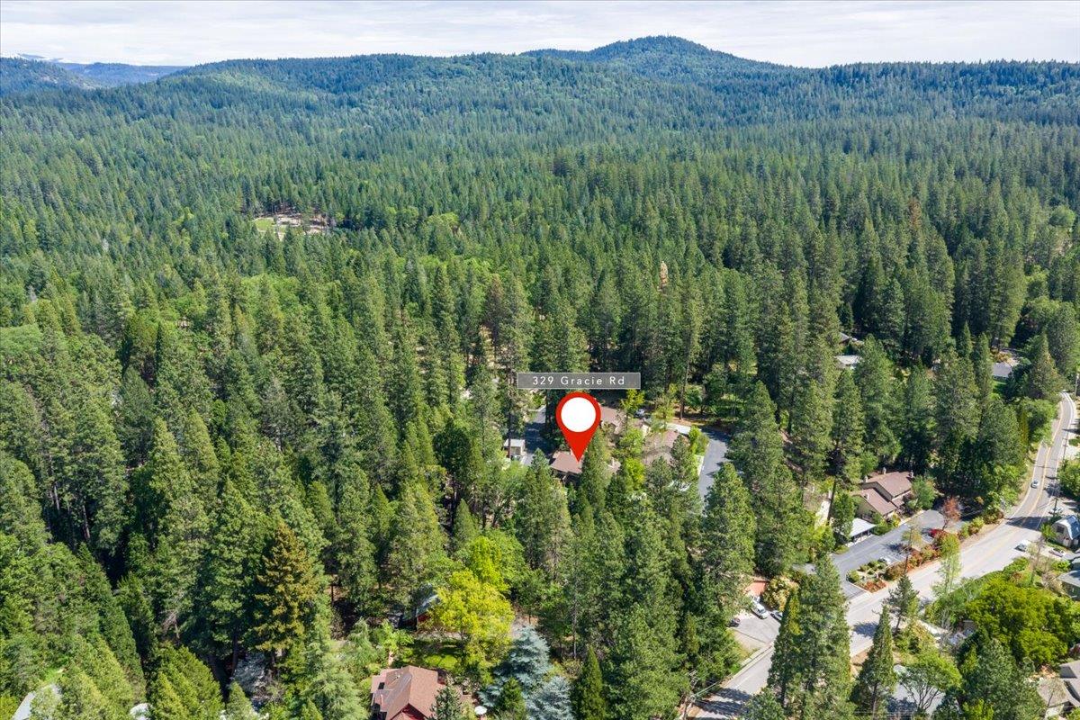 329 Gracie Road Nevada City, CA 95959 - Photo 34 of 39