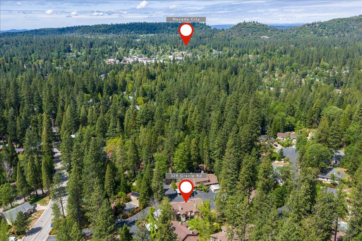 329 Gracie Road Nevada City, CA 95959 - Photo 38 of 39